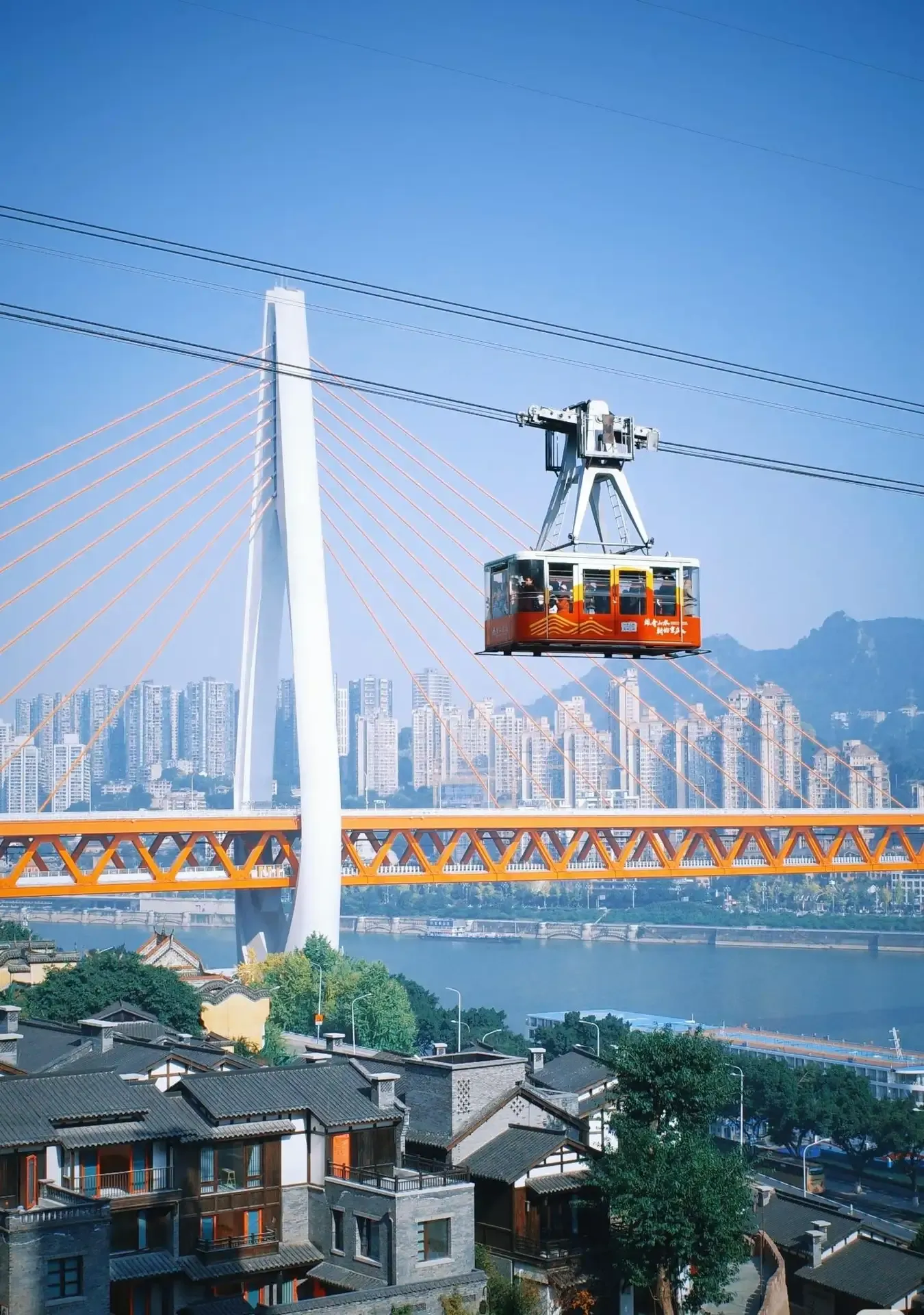 Chongqing Deep Explore Private Car Tour: Liziba, Temple, Hongyadong & Hotpot Dinner