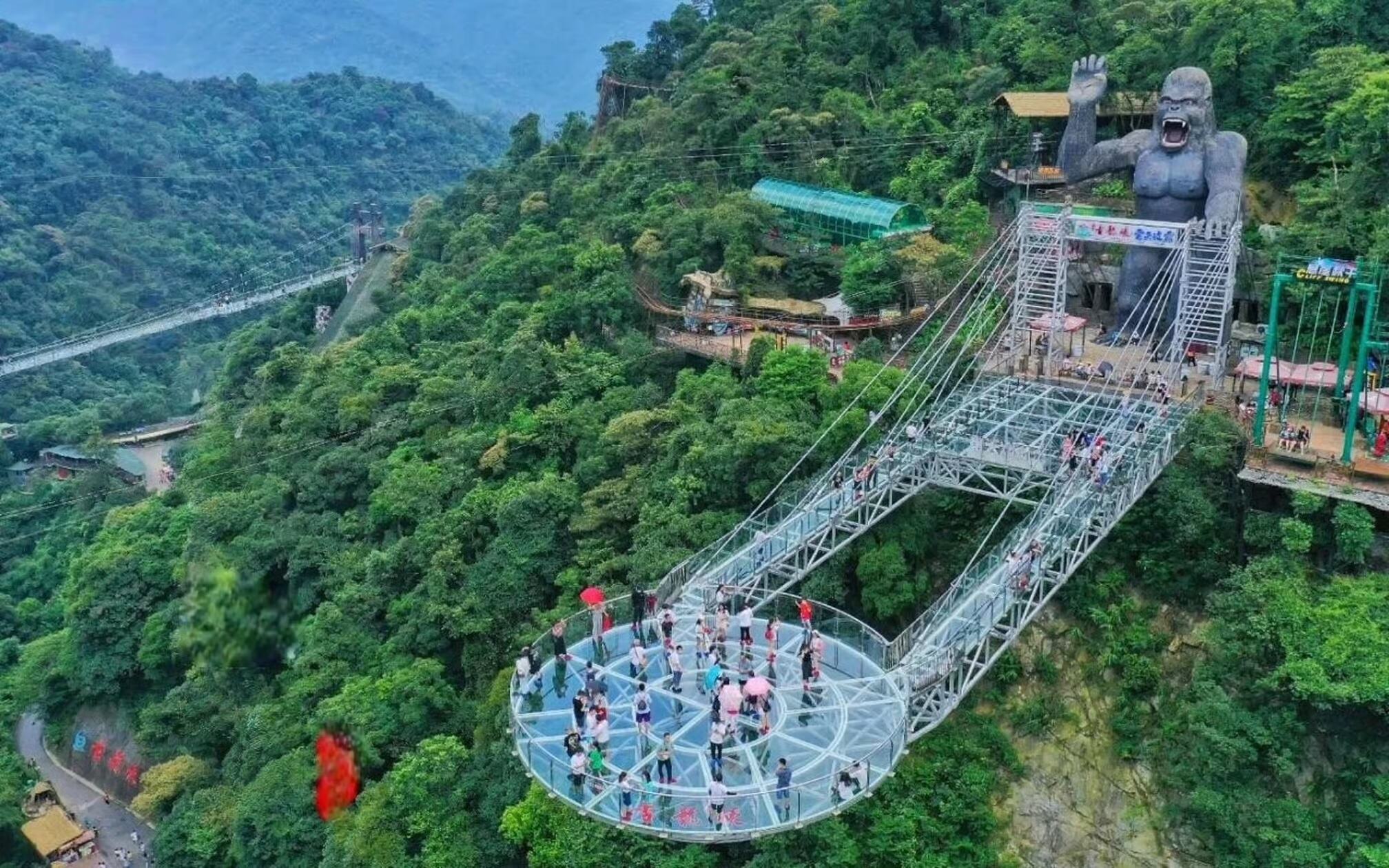 Guangzhou: Gulong Canyon Private Day Tour,Glass Bridge