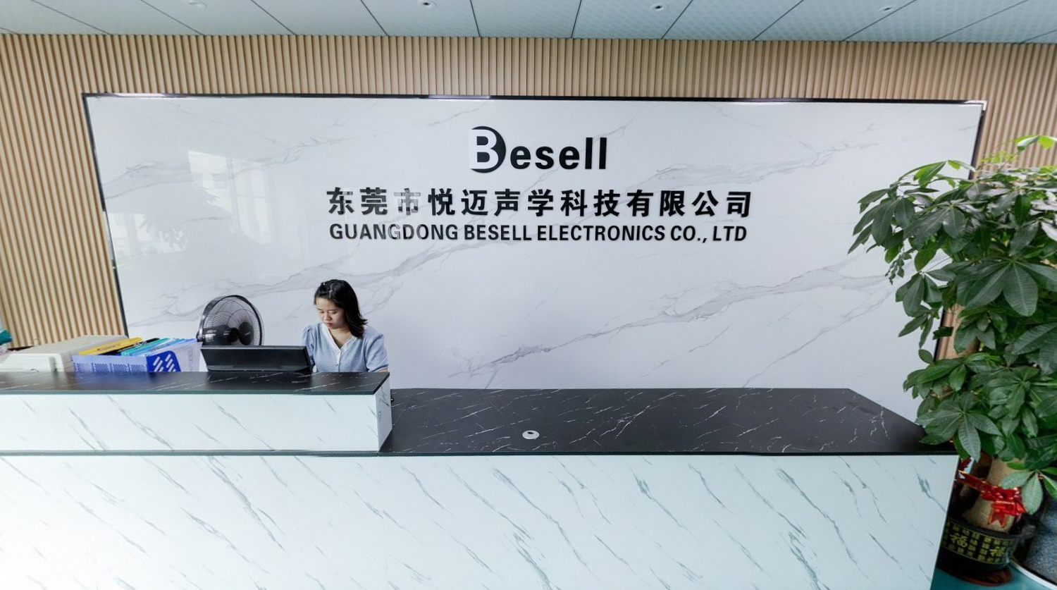 Guangdong Besell Electronics 