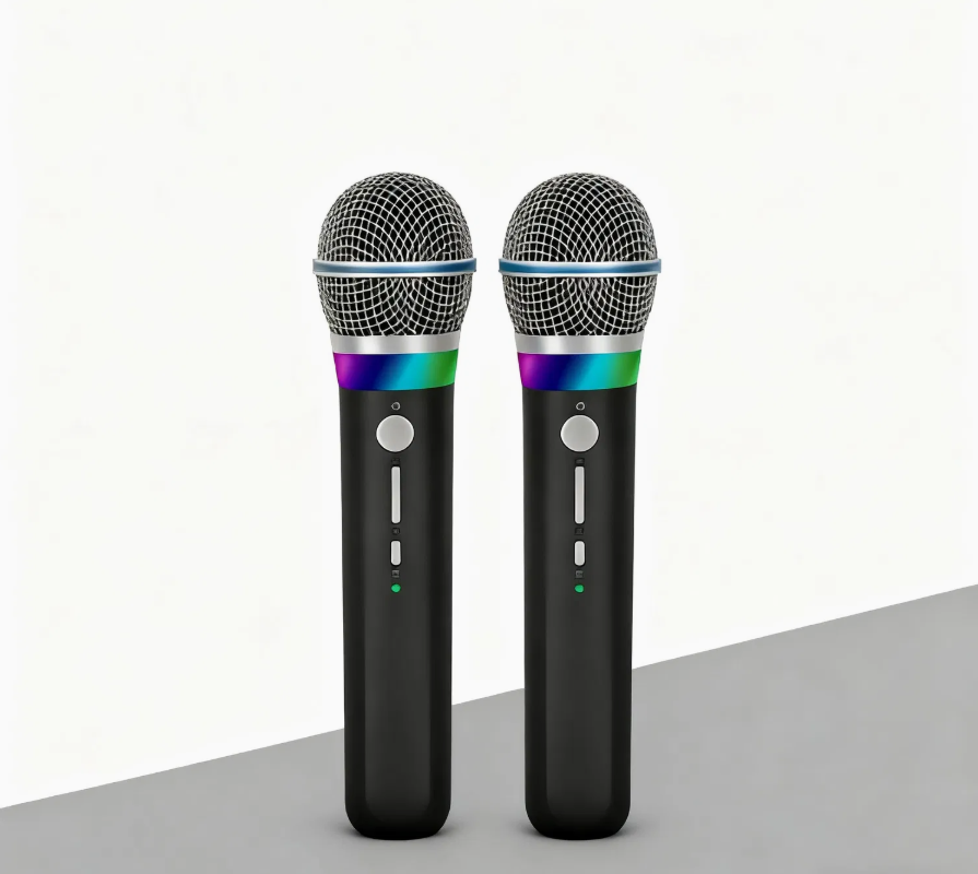 Professional 2.4G Wireless Dual Microphone System for Karaoke Stage Conference