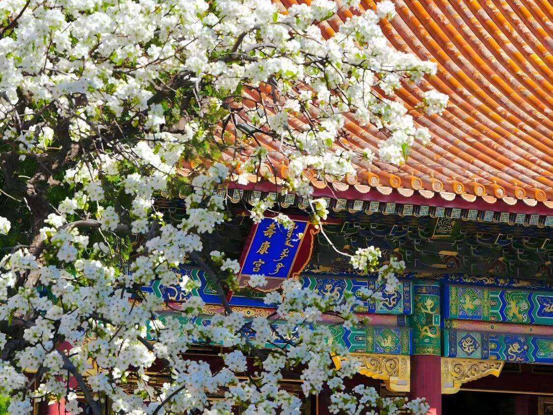 1. Cining Palace - 4