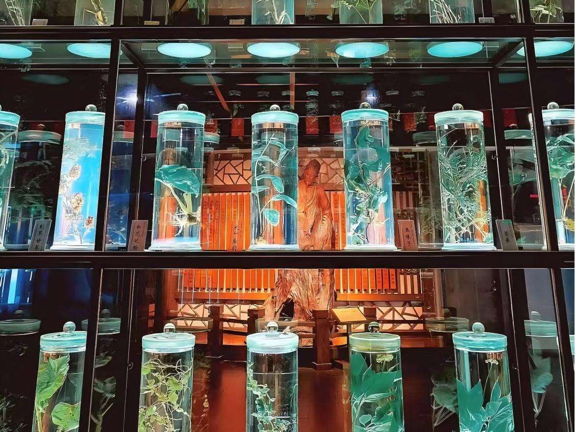 3. The Herb Universe: Chinese Medicinal Hall & Specimen Center - 1