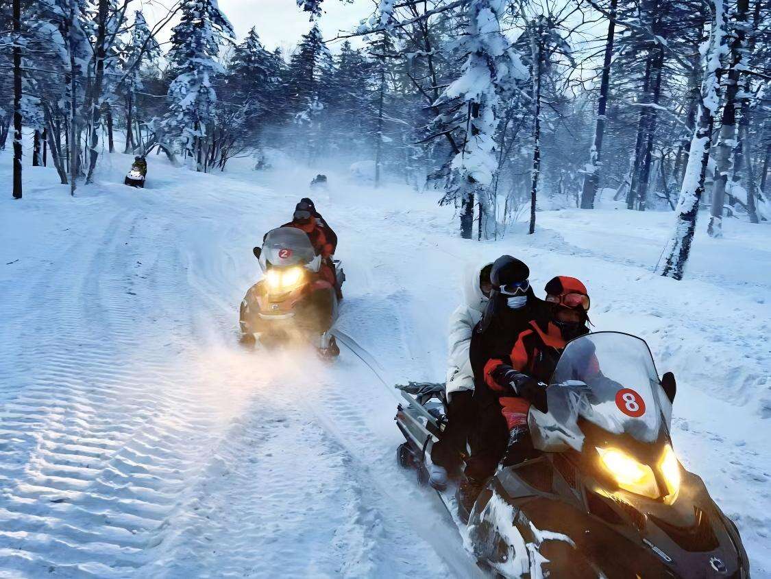 China's Arctic Adventure