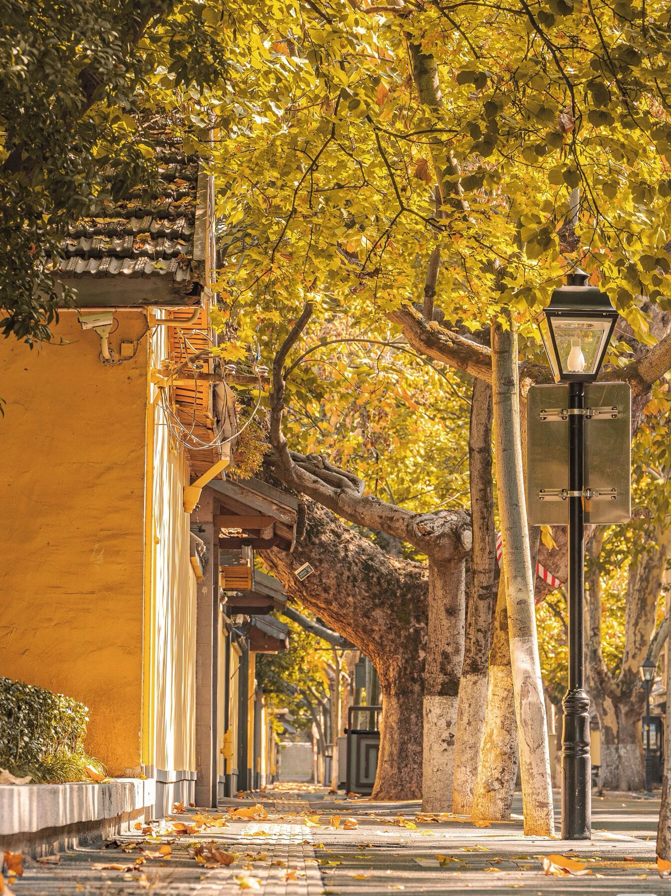 First Stop: Yihe Road Historical and Cultural District - 1