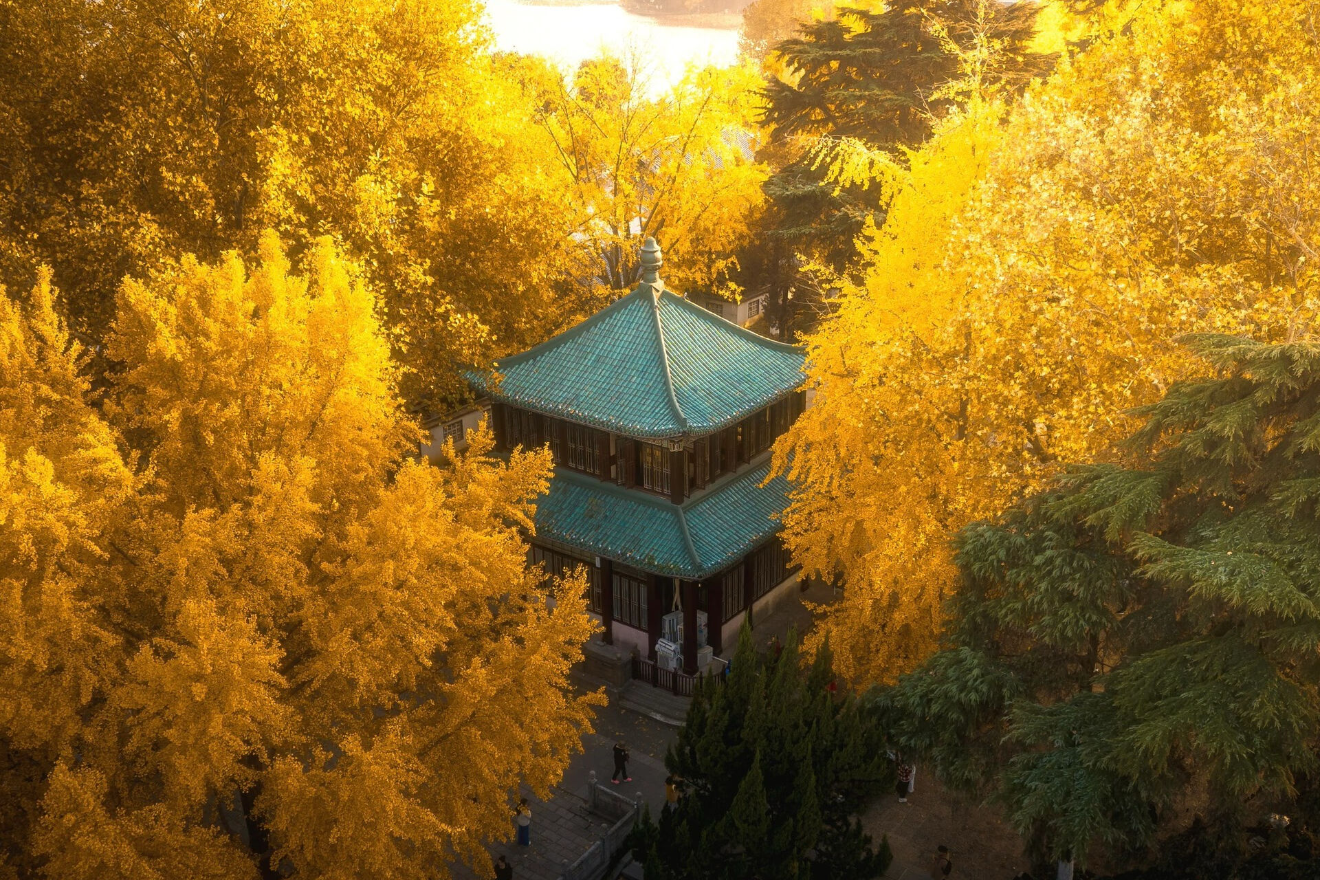 Stop 2: Xuanwu Lake Park - 1