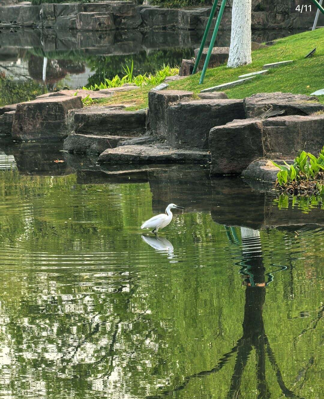 2-Moon Lake Park - 2