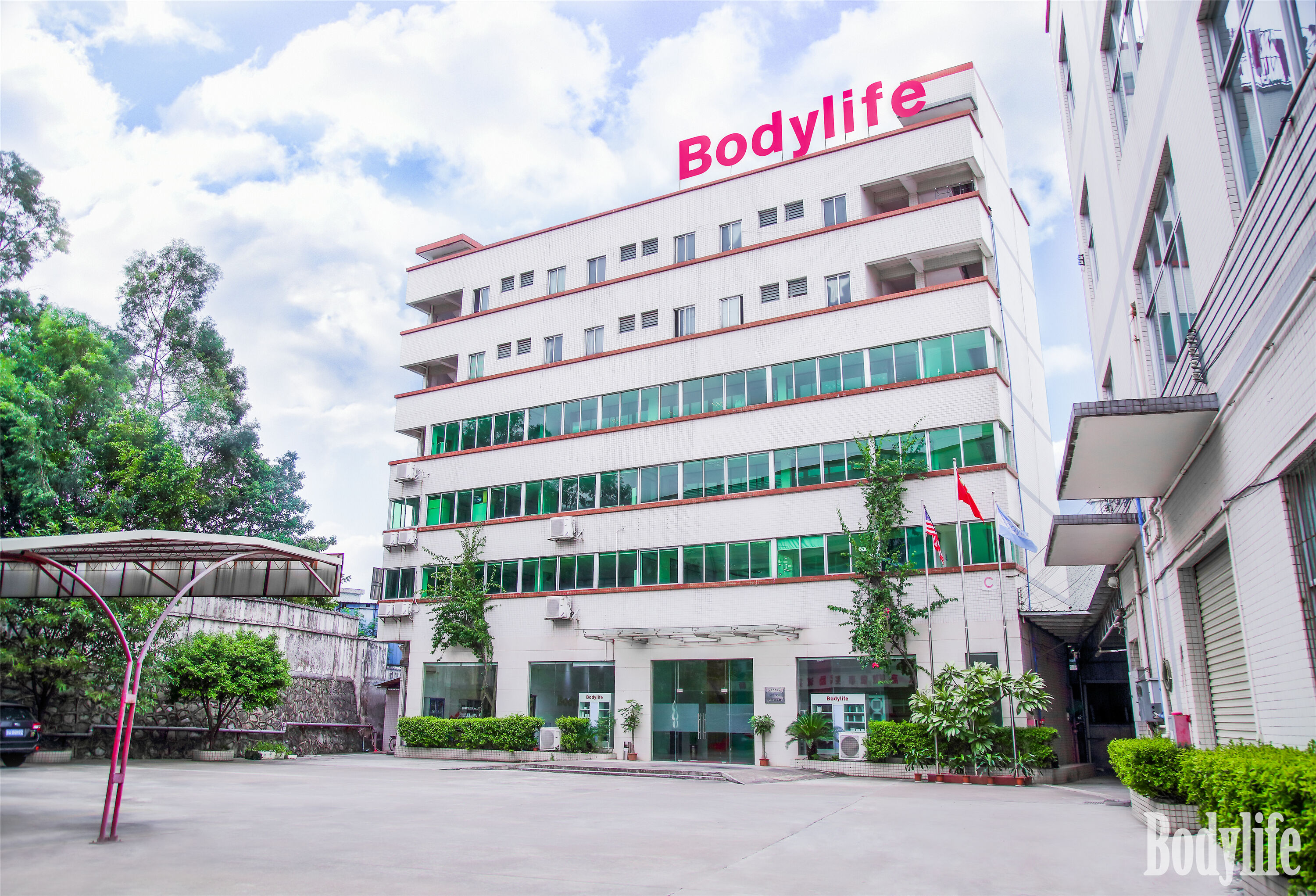 BodyLife Group thumbnail 12